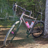 Seven Evergreen 